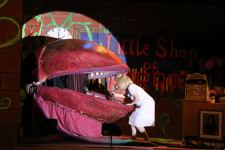 Little Shop of Horrors 61